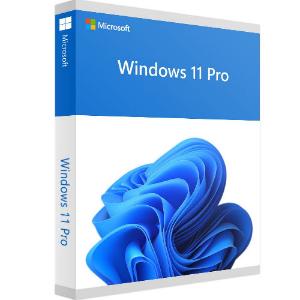 siproduct-753506-584401-16b20ce6cbfa59944ca835373bceae1824dee31d WIN11PUP.jpg. Upgrade: Windows 11 Pro Install Upgrade