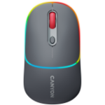 CNS-CMSW22DG. CANYON MW-22, 2 in 1 Wireless optical mouse with 4 buttons,Silent switch fo