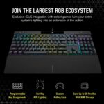 97179314_2524827256.png. Corsair K70 RGB Pro Mechanical Gaming Keyboard | Cherry MX Speed Silver